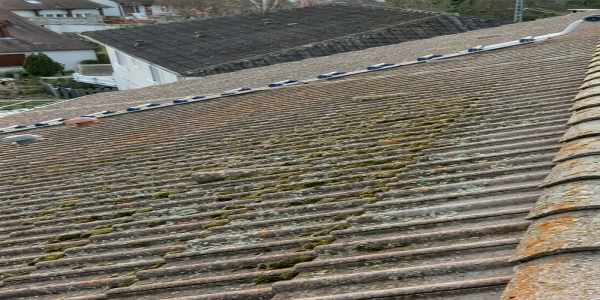Nettoyage de toiture dans l'Indre-et-Loire — avant (chantier 3)