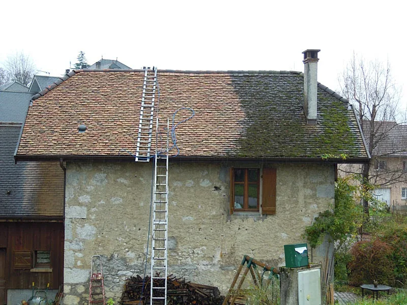 Démoussage de toiture dans l'Indre-et-Loire