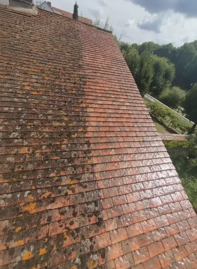 Entretien de toiture dans l'Indre-et-Loire