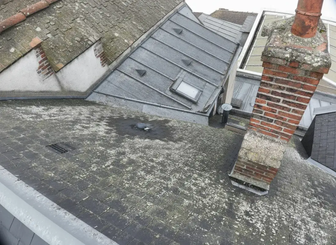 Démoussage de toiture dans l'Indre-et-Loire