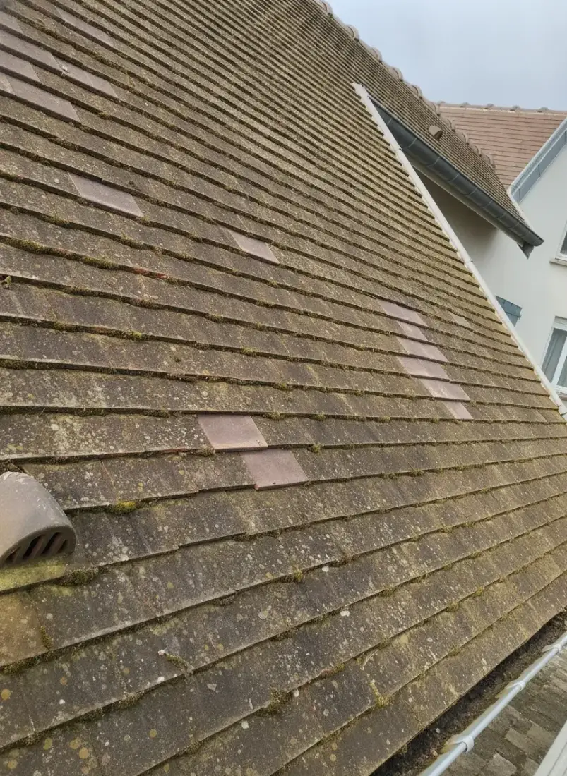 Traitement anti-mousse dans l'Indre-et-Loire