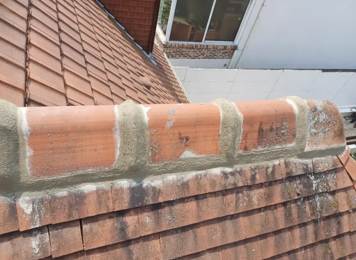 Traitement hydrofuge de toiture dans l'Indre-et-Loire